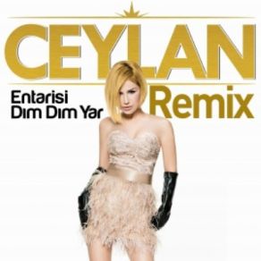 Entarisi Dım Dım Yar Remix (Single) album cover