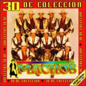 30 De Coleccion Disc 2 album cover