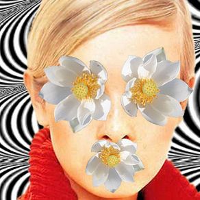 The Kevin Lucas Demos album cover
