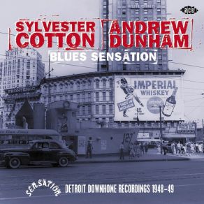 Blues Sensation: Detroit Down Home Recordings 1948 - 49 album cover