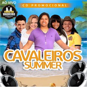 Sumer Verao 2013 album cover