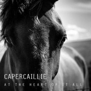 At The Heart Of It All album cover