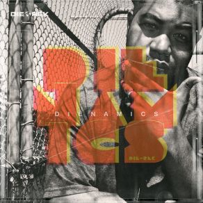 Dienamics album cover