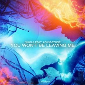 You Won't Be Leaving Me (Stereo Palma Edit) (Single) album cover