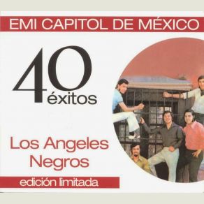 40 Exitos Edicion Limitada (CD1) album cover