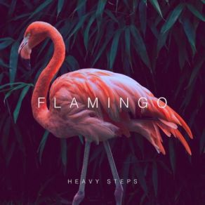 Heavy Steps album cover