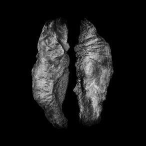 Cause And Effect album cover