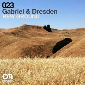 New Ground (Single) album cover