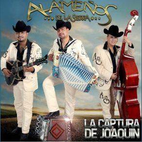 La Captura De Joaquin album cover