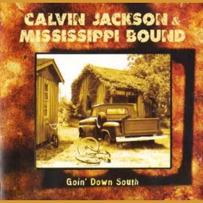 Goin' Down South album cover