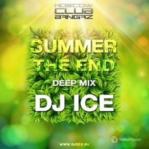 Summer The End 2014 album cover