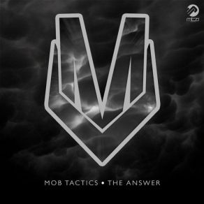 The Answer album cover