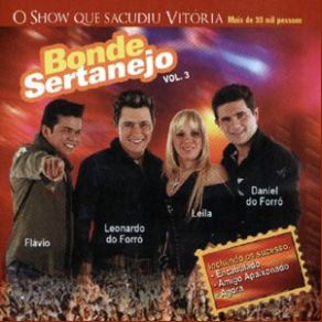 Vol. 3 Ao Vivo album cover