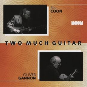 Two Much Guitar album cover