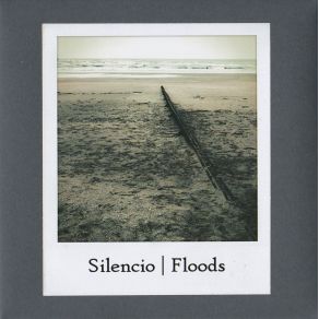 Floods album cover