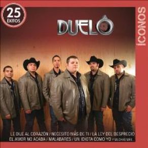 Iconos 25 Exitos (CD1) album cover