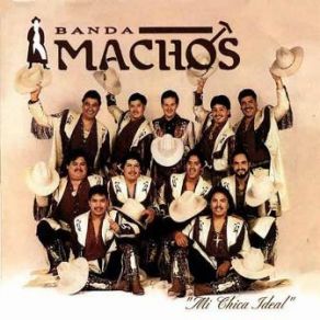 Mi Chica Ideal album cover