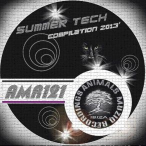 Summer Compilation Tech 2013 album cover