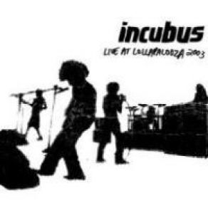 Live At Lollapalooza album cover