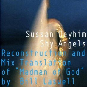 Shy Angels album cover