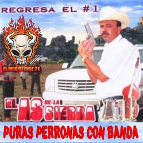 Puras Perronas Con Banda album cover