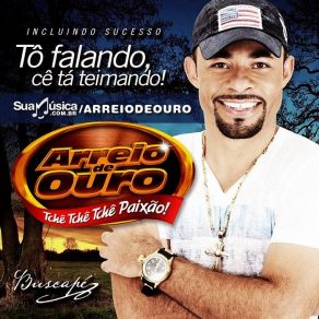 Tô Falando, Cê Tá Teimando album cover