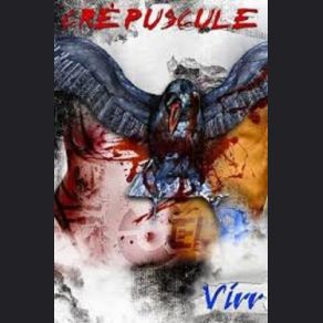 Virr album cover