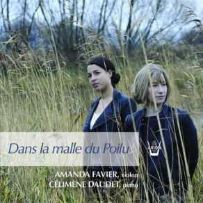 Dans La Malle Du Poilu album cover