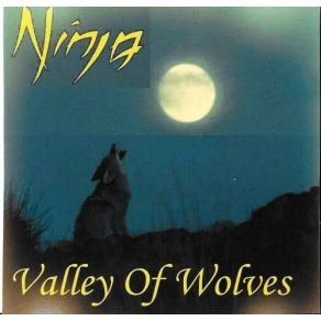 Valley Of Wolves album cover