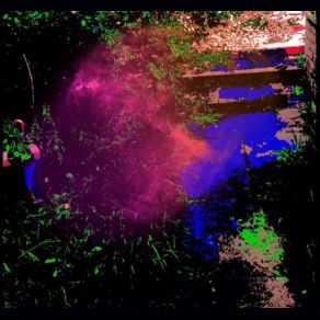 12 Steps Off The Path album cover