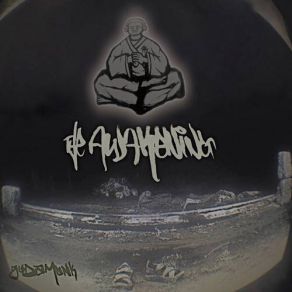 The Awakening album cover