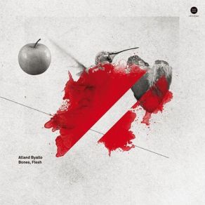 Bones Flesh 2015 album cover
