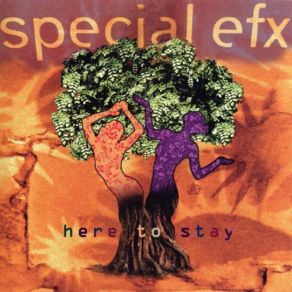 Here To Stay album cover