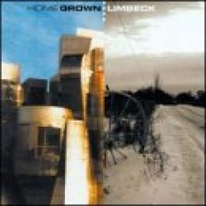 Connection (Home Grown Split Limbeck)  album cover
