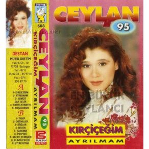 Kır Çiçeğim album cover