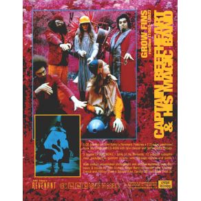Grow Fins: Rarities (1965 - 1982) album cover