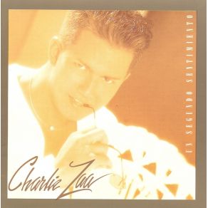 Un Segundo Sentimiento album cover