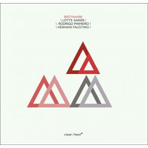 Birthmark album cover