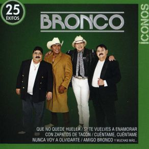 Iconos: 25 Exitos (CD1) album cover