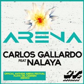 Arena (Radio Edit) (Single) album cover