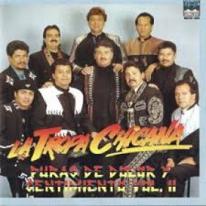 Puras De Dolor Y Sentimineto 2 album cover