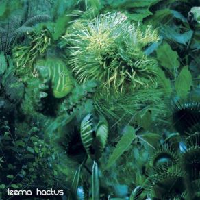 Leema Hactus album cover