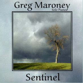 Sentinel album cover