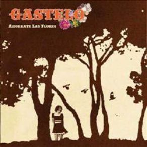 Ahorrate Las Flores album cover