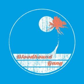 Screwing You On The Beach At Night (Explicit Version) (Single) album cover