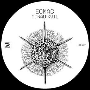 Monad XVII album cover