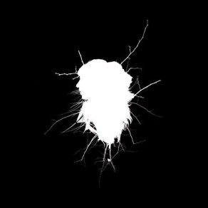 Here In Weightless Fall album cover