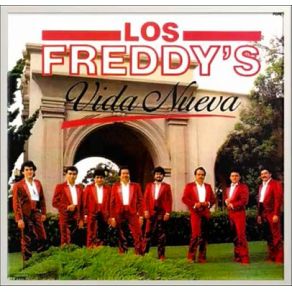 Vida Nueva album cover