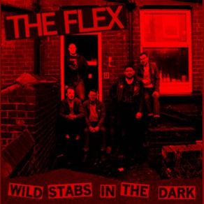 Wild Stabs In The Dark album cover