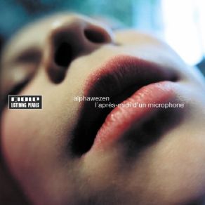 L'Après - Midi D'Un Microphone album cover